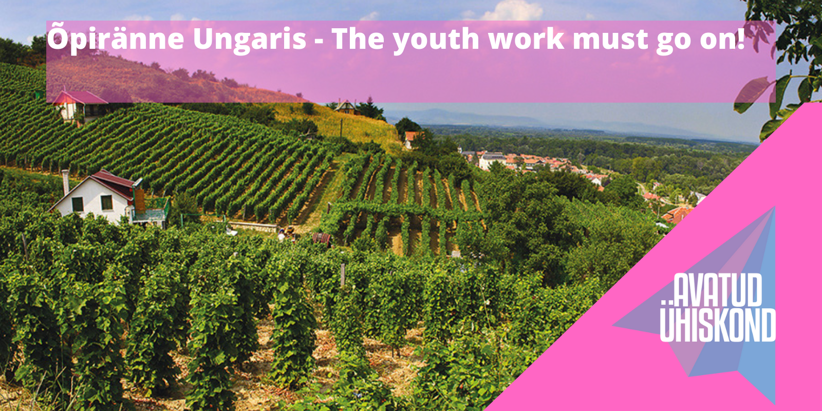 Copy of Untitled Design (6)